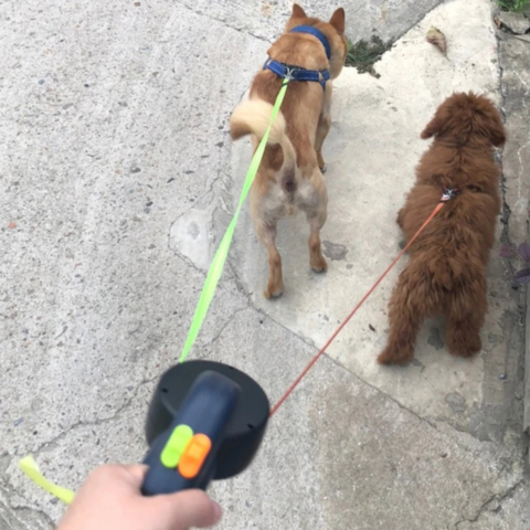 PawMate Tangle-Free Leash™